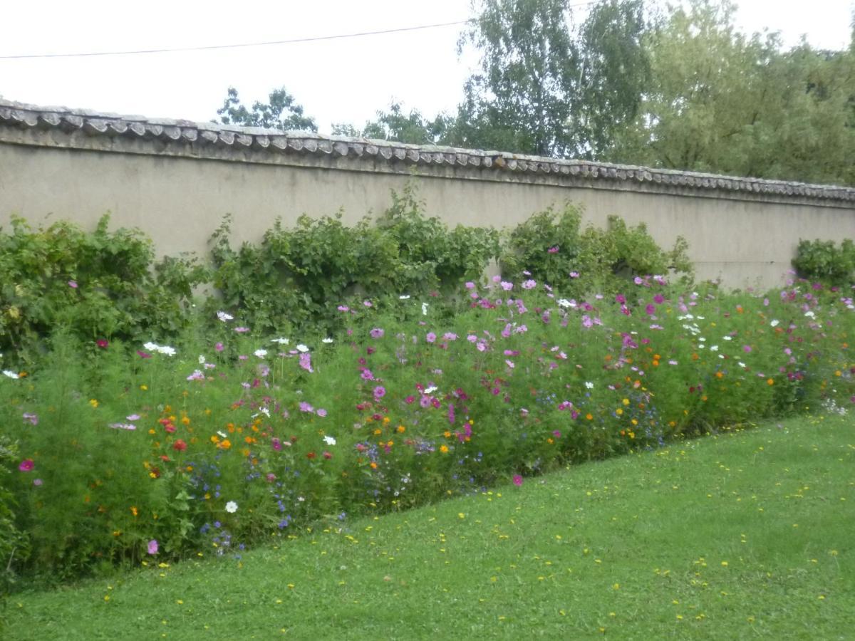 Château des Charmes Guereins Exterior foto